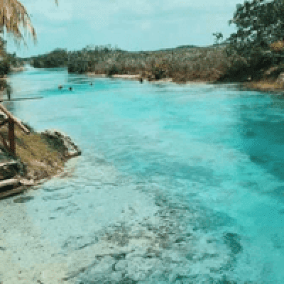 Bacalar