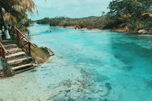 Bacalar