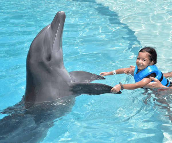 Traveliere Transfers - Cancun Airport Transportation