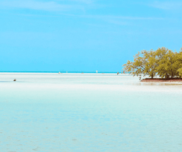 Traveliere Transfers - Cancun Airport Transportation