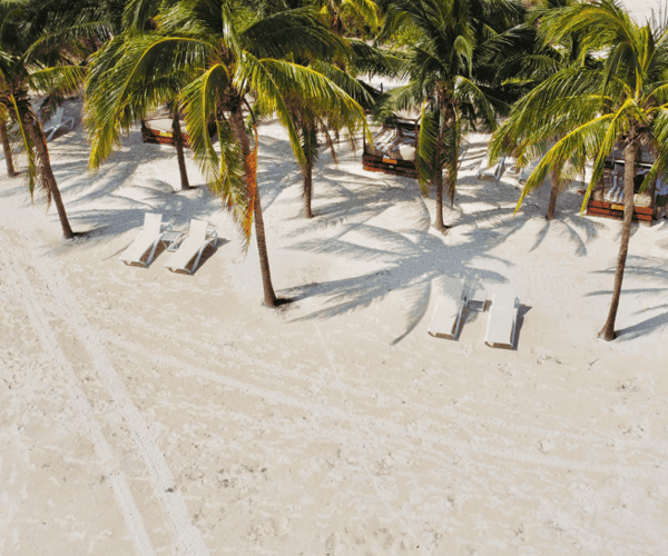 Traveliere Transfers - Cancun Airport Transportation