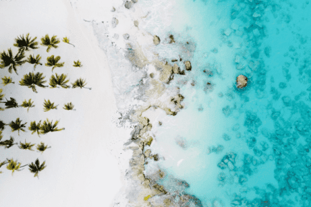 Find out why locals love Playa Tortugas in Cancun