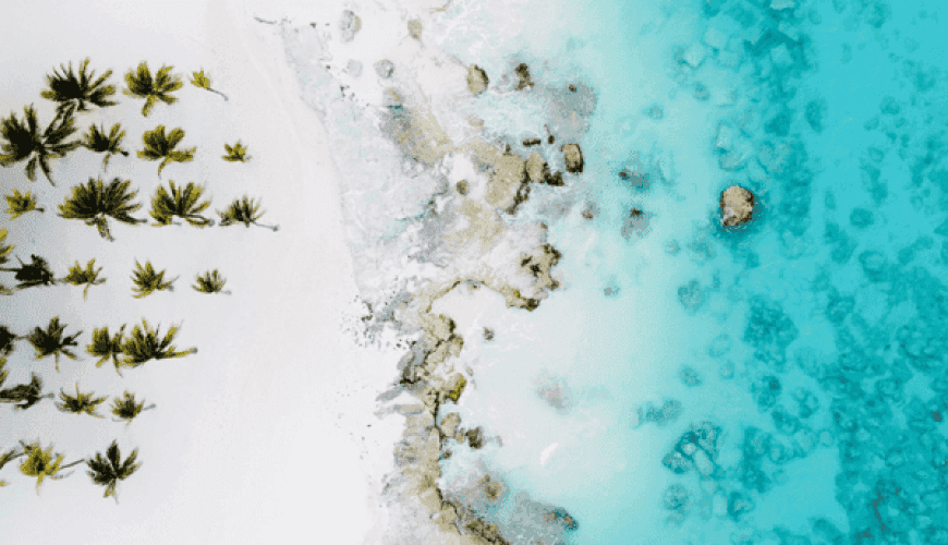 Find out why locals love Playa Tortugas in Cancun